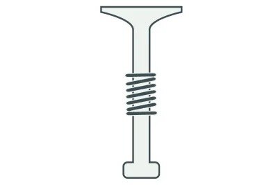Ventil & Ventilfeder