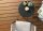 Diele Thermo-WPC 137 walnuss 25 × 137 × 4880 mm