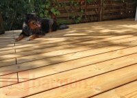 Diele Thermo-Kiefer mit Nut, gebürstet 26 × 140 × 3000 mm