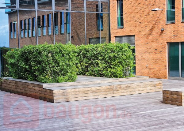 Diele Kebony Clear QLICK, bombiert glatt 22 × 118 Länge 3600 mm