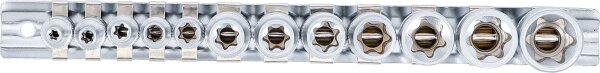 Steckschlüssel-Einsatz-Satz E-Profil | Antrieb Innenvierkant 6,3 mm (1/4") / 10 mm (3/8") | SW E4 - E20 | 12-tlg.