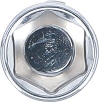 Kardangelenk-Einsatz Sechskant | Antrieb Innenvierkant 10 mm (3/8") | SW 14 mm