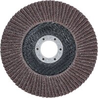 Fächer-Schleif-Scheibe | Ø 125 mm | K 40