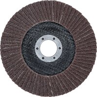 Fächer-Schleif-Scheibe | Ø 125 mm | K 60