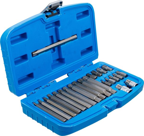 Bit-Satz | Antrieb Außensechskant 10 mm (3/8") | Keil-Profil (für Ribe) | 22-tlg.