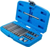 Bit-Satz | Antrieb Außensechskant 10 mm (3/8") | Keil-Profil (für Ribe) | 22-tlg.