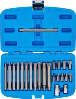 Bit-Satz | Antrieb Außensechskant 10 mm (3/8") | Keil-Profil (für Ribe) | 22-tlg.