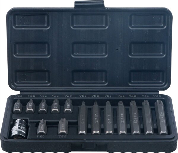 Bit-Satz | Antrieb Außensechskant 10 mm (3/8") | T-Profil (für Torx) | 15-tlg.
