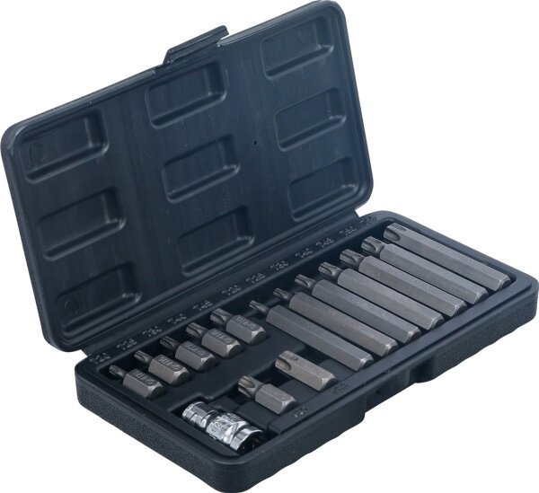 Bit-Satz | Antrieb Außensechskant 10 mm (3/8") | T-Profil (für Torx) | 15-tlg.