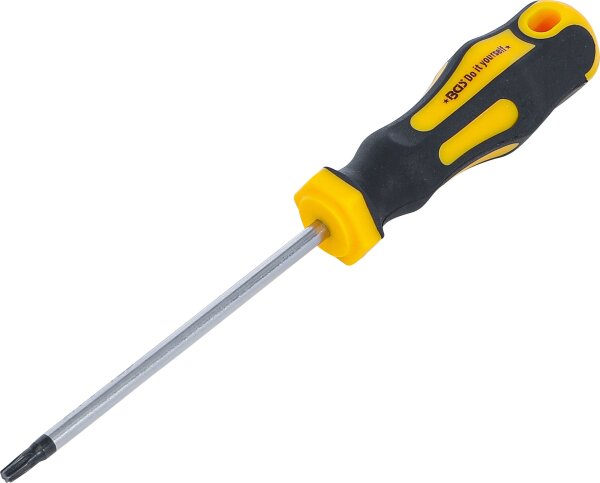 Schraubendreher | T-Profil (für Torx) T20 | Klingenlänge 100 mm