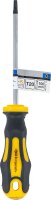 Schraubendreher | T-Profil (für Torx) T20 | Klingenlänge 100 mm