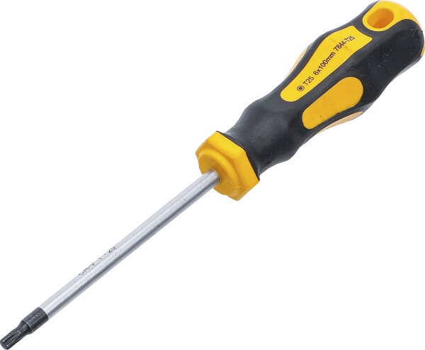 Schraubendreher | T-Profil (für Torx) T25 | Klingenlänge 100 mm