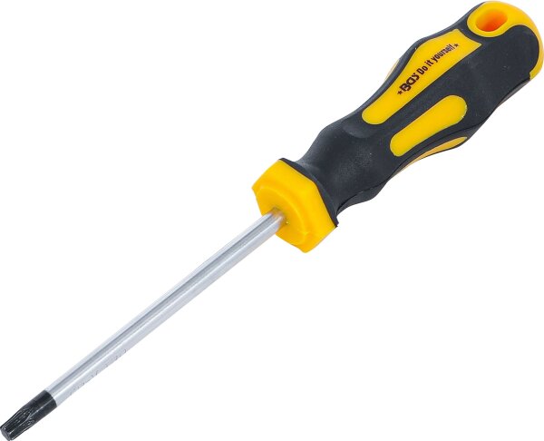 Schraubendreher | T-Profil (für Torx) T30 | Klingenlänge 100 mm