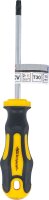 Schraubendreher | T-Profil (für Torx) T30 | Klingenlänge 100 mm