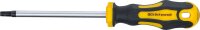Schraubendreher | T-Profil (für Torx) T40 | Klingenlänge 125 mm