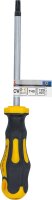 Schraubendreher | T-Profil (für Torx) T40 | Klingenlänge 125 mm