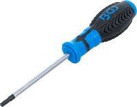 Schraubendreher | T-Profil (für Torx) mit Bohrung...