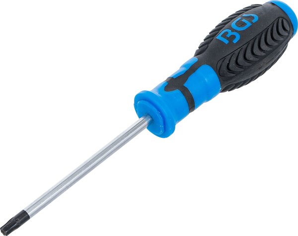 Schraubendreher | T-Profil (für Torx) mit Bohrung T30 | Klingenlänge 100 mm