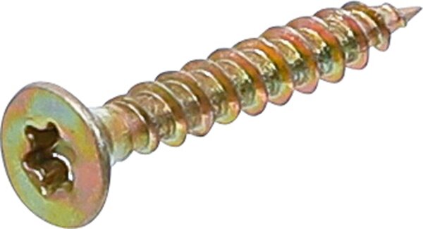 Mehrzweckschrauben | T-Profil (für Torx) T10 | 3,0 x 20 mm | 260 Stück