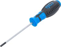Schraubendreher | Innensechskant 4 mm | Klingenlänge 100 mm