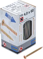 Mehrzweckschrauben | T-Profil (für Torx) T20 | 4,0 x 60 mm | 110 Stück