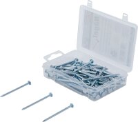 Nägel-Sortiment | 250 g | 2,8 x 60 mm