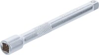 Verlängerung | 6,3 mm (1/4") | 100 mm