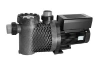 OKU BADU EV Eco Future, 1~, 1,10 kW mit Wechselstrommotor...