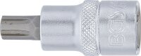 Bit-Einsatz | Antrieb Innenvierkant 12,5 mm (1/2") | Keil-Profil (für RIBE) M10