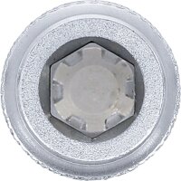 Bit-Einsatz | Antrieb Innenvierkant 12,5 mm (1/2") | Keil-Profil (für RIBE) M10
