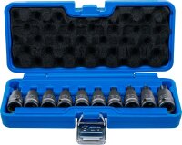Kraft-Bit-Einsatz-Satz | Antrieb Innenvierkant 12,5 mm (1/2") | T-Profil (für Torx) T20 - T70 | 10-tlg.