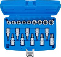 Bit-Einsatz-/Steckschlüssel-Einsatz-Satz | Antrieb Innenvierkant 12,5 mm (1/2") | E-Profil / T-Profil (für Torx) | 19-tlg.