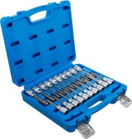 Bit-Einsatz-Satz | Antrieb Innenvierkant 12,5 mm (1/2") | Innensechskant, T-Profil (für Torx), Innenvielzahn (für XZN) mit Kugelkopf | 20-tlg.