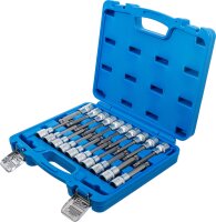 Bit-Einsatz-Satz | Antrieb Innenvierkant 12,5 mm (1/2") | Innensechskant, T-Profil (für Torx), Innenvielzahn (für XZN) mit Kugelkopf | 20-tlg.