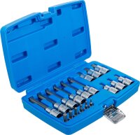Bit-Einsatz-Satz | Antrieb Innenvierkant 6,3 mm (1/4") / 12,5 mm (1/2") | Innensechskant | 18-tlg.