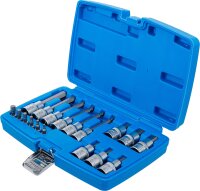 Bit-Einsatz-Satz | Antrieb Innenvierkant 6,3 mm (1/4") / 12,5 mm (1/2") | Innensechskant | 18-tlg.