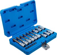 Bit-Einsatz-Satz | Antrieb Innenvierkant 6,3 mm (1/4") / 12,5 mm (1/2") | T-Profil (für Torx) | 18-tlg.