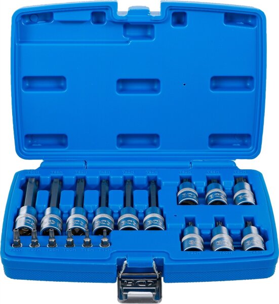 Bit-Einsatz-Satz | Antrieb Innenvierkant 6,3 mm (1/4") / 12,5 mm (1/2") | T-Profil (für Torx) mit Bohrung | 18-tlg.