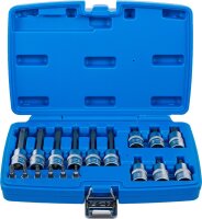 Bit-Einsatz-Satz | Antrieb Innenvierkant 6,3 mm (1/4") / 12,5 mm (1/2") | T-Profil (für Torx) mit Bohrung | 18-tlg.