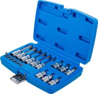 Bit-Einsatz-Satz | Antrieb Innenvierkant 6,3 mm (1/4") / 12,5 mm (1/2") | T-Profil (für Torx) mit Bohrung | 18-tlg.