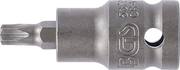 Kraft-Bit-Einsatz | Länge 55 mm | Antrieb Innenvierkant 12,5 mm (1/2") | T-Profil (für Torx) T40