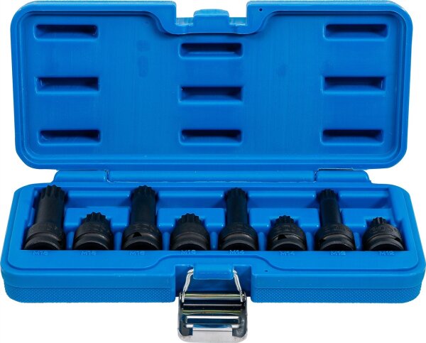 Kraft-Bit-Einsatz-Satz | Antrieb Innenvierkant 12,5 mm (1/2") | Innenvielzahn (für XZN) M12 - M18 | 8-tlg.