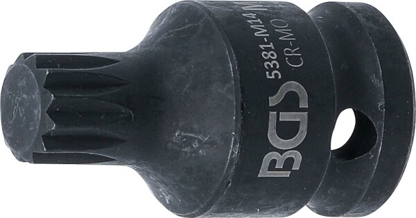 Kraft-Bit-Einsatz | Länge 43 mm | Antrieb Innenvierkant 12,5 mm (1/2") | Innenvielzahn (für XZN) M14