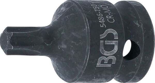 Kraft-Bit-Einsatz | Länge 42 mm | Antrieb Innenvierkant 12,5 mm (1/2") | T-Profil (für Torx) T50