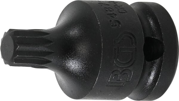 Kraft-Bit-Einsatz | Länge 43 mm | Antrieb Innenvierkant 12,5 mm (1/2") | Innenvielzahn (für XZN) M10