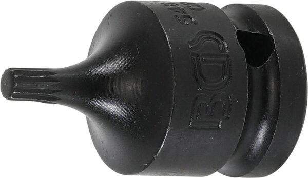 Kraft-Bit-Einsatz | Länge 43 mm | Antrieb Innenvierkant 12,5 mm (1/2") | Innenvielzahn (für XZN) M5