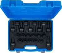 Kraft-Bit-Einsatz-Satz | Antrieb Innenvierkant 20 mm (3/4") | Innensechskant, T-Profil (für Torx) | 22-tlg.