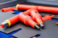 Werkstattwageneinlage 2/3: VDE-Bit-Einsatz-Satz | Antrieb Innenvierkant 12,5 mm (1/2") | T-Profil (für Torx) T20 - T55 | 10-tlg.