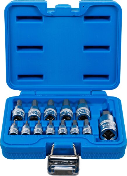 Bit-Einsatz-Satz | Antrieb Innenvierkant 6,3 mm (1/4") / 10 mm (3/8") / 12,5 mm (1/2") | Innensechskant 2 - 14 mm | 13-tlg.