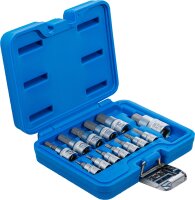 Bit-Einsatz-Satz | Antrieb Innenvierkant 6,3 mm (1/4") / 10 mm (3/8") / 12,5 mm (1/2") | Innensechskant 2 - 14 mm | 13-tlg.